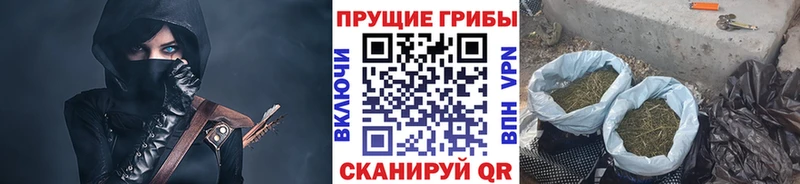 MEGA tor  Арзамас  Псилоцибиновые грибы мицелий  сколько стоит 