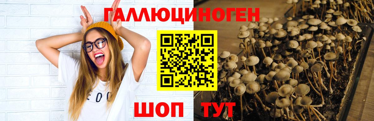 Галлюциногенные грибы мухоморы  Вход с VPN  Арзамас 